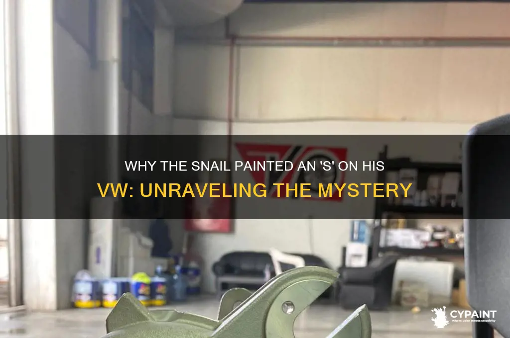 why did the snail paint as on his vw