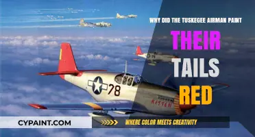 Why Tuskegee Airmen's Red Tails Symbolized Courage and Excellence