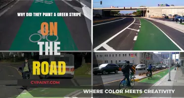 Unraveling the Mystery: The Green Stripe on the Road