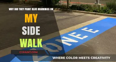 Unraveling the Mystery: Blue Markings on Your Sidewalk Explained