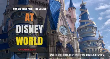 Why Disney World's Castle Got a Colorful Makeover