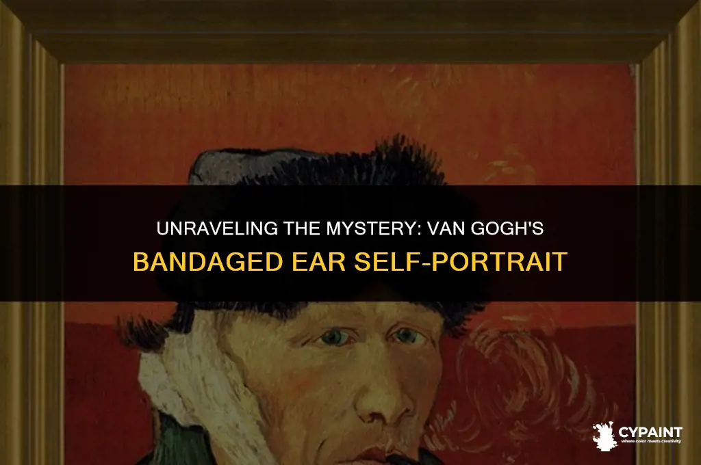 why did van gogh paint self portrait with bandaged ear