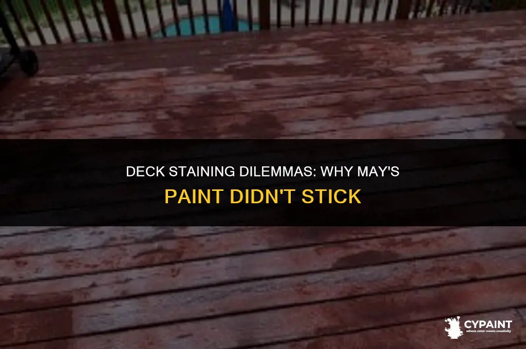 why didn