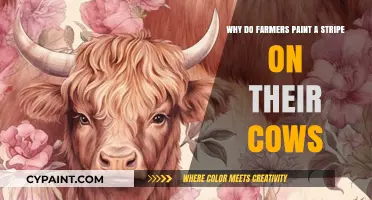 Why Farmers Paint Stripes on Cows: Unveiling the Practical Purpose