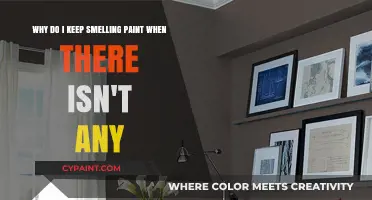 Unraveling the Mystery: Phantom Paint Smells Explained