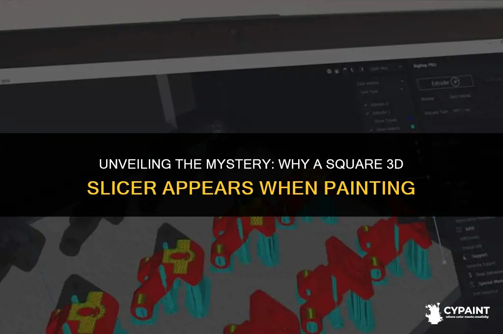 why do i see a square 3d slicer when painting