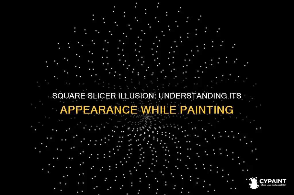 why do i see a square slicer when painting