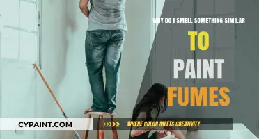 Unusual Paint Fume Odor: Causes, Concerns, and Solutions Explained