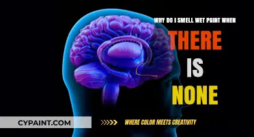 Phantom Paint: Unraveling the Mystery of Wet Paint Smells