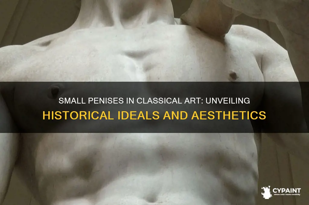 why do men in classical paintings have small penises