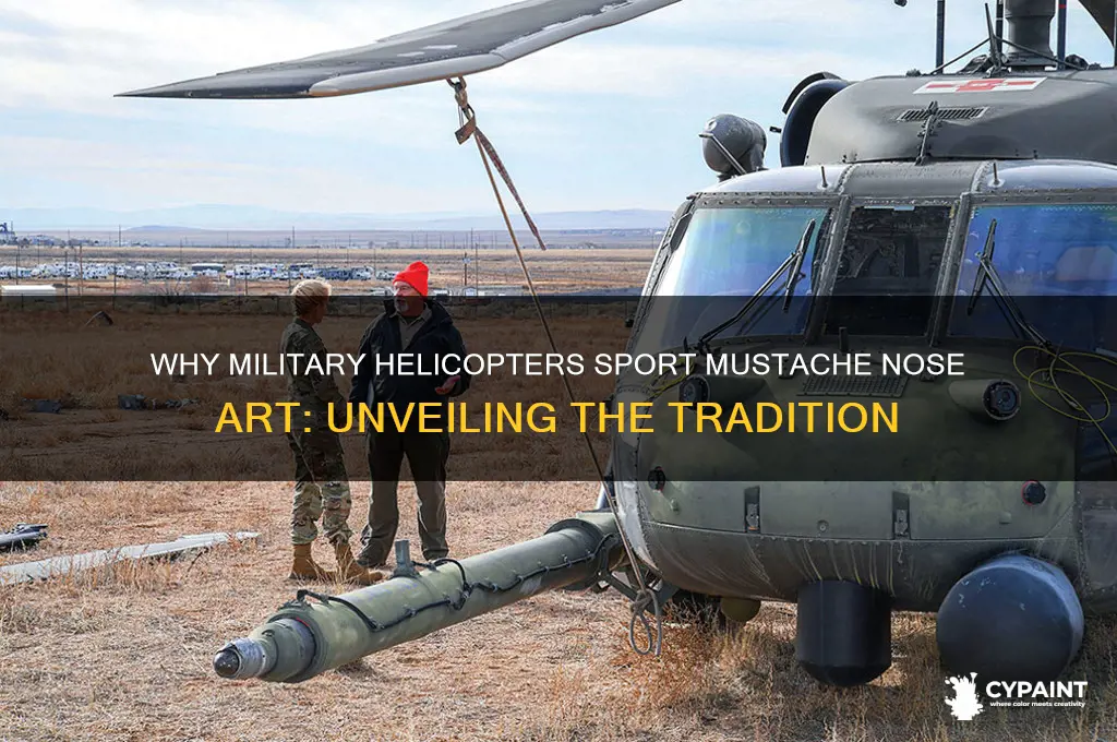 why do military helicopters have mustaches painted on them