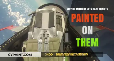 Why Military Jets Feature Painted Targets: Uncovering the Strategic Reasoning