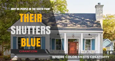 Southern Charm: The Alluring Mystery of Blue Shutters