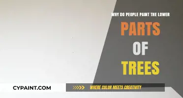 Why Do People Paint Tree Trunks? Uncovering the Whitewash Tradition