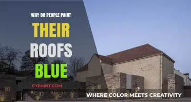 Why Blue Roofs? Uncovering the Cultural and Practical Reasons