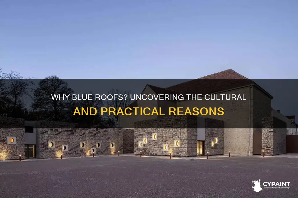 why do people paint their roofs blue
