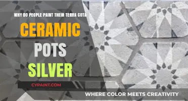 Unveiling the Mystery: Why Silver-Painted Terra Cotta Pots Captivate Us