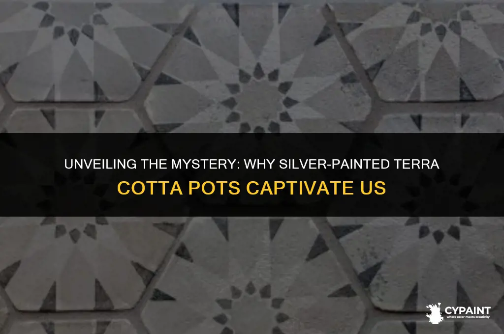 why do people paint their terra cota ceramic pots silver