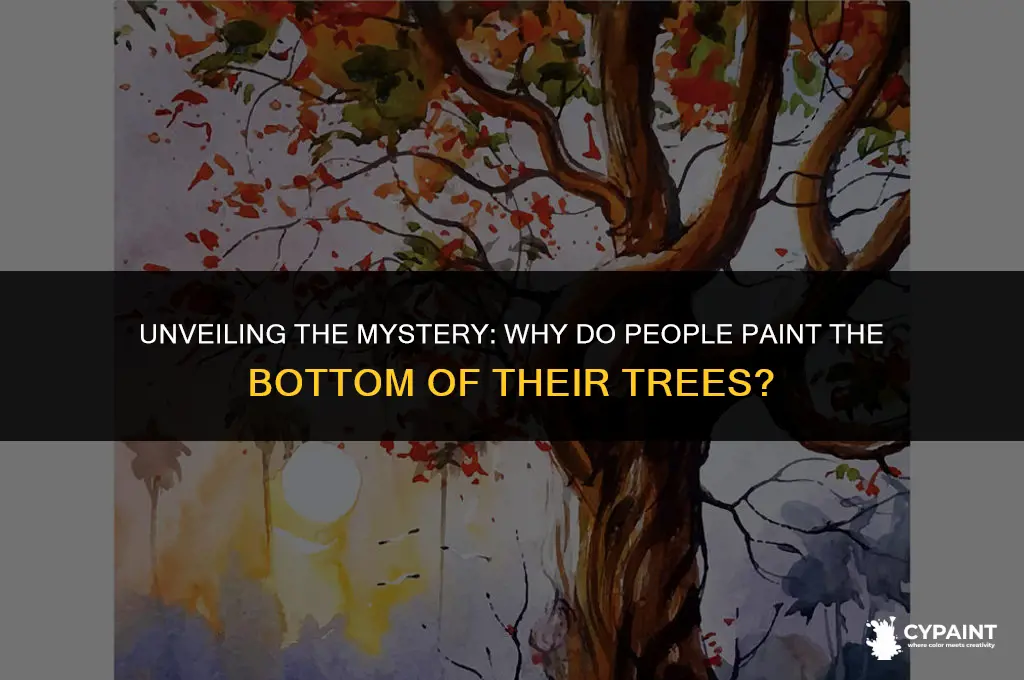 why do poeple paint the bottom portion of thier yrees