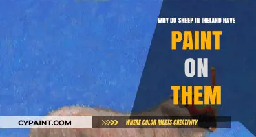Why Irish Sheep Wear Paint: Uncovering the Colorful Tradition
