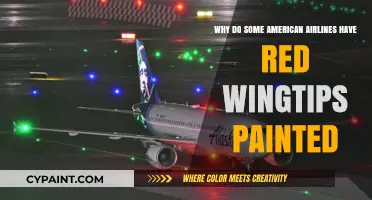 Why Some American Airlines Paint Their Wingtips Red
