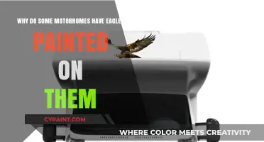 Why Eagles Soar on Motorhomes: Symbolism and Cultural Significance Explained