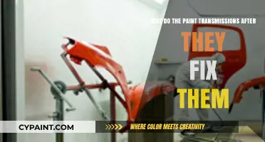 Why Paint Issues Persist After Transmission Repairs: Uncovering the Causes