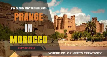 Why Morocco's Boulevards Glow Orange: A Cultural Paint Choice
