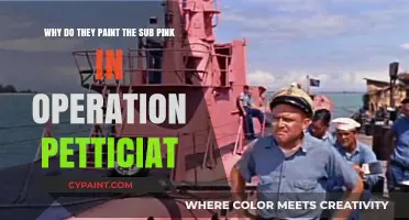 Unveiling the Mystery: The Pink Submarine of Operation Petticoat