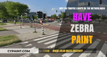 Why Dutch Traffic Lights Sport Zebra Stripes: A Cultural Quirk Explained
