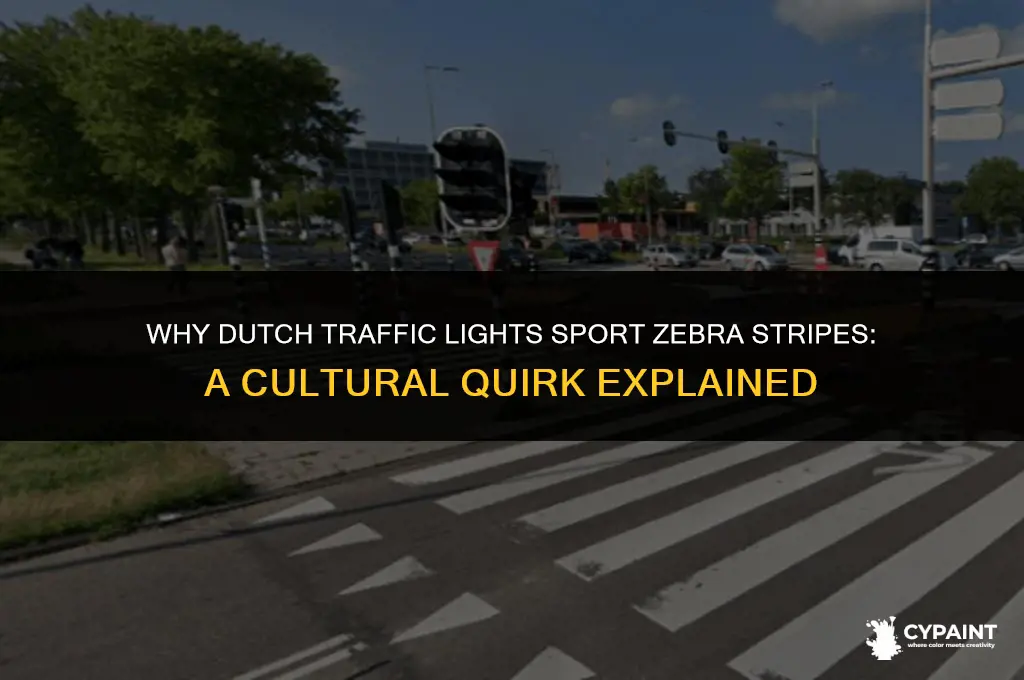 why do traffic lights in the netherlands have zebra paint