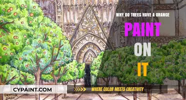 Why Trees Wear Orange Paint: Unveiling the Mystery Behind the Markings