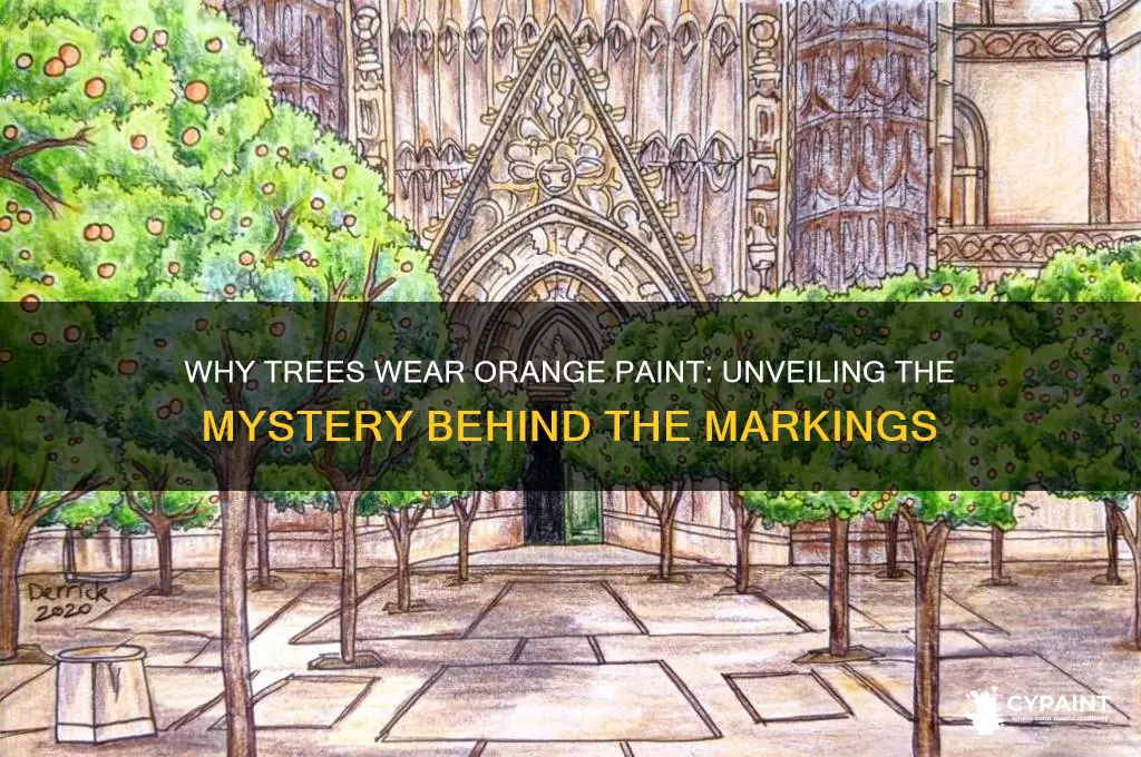 why do trees have a orange paint on it