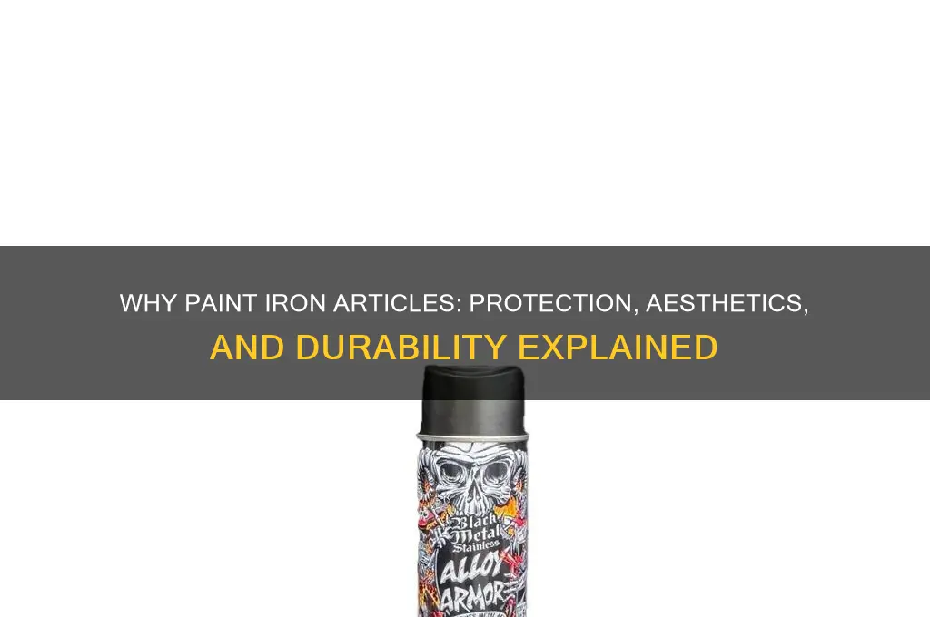 why do we apply paint on iron articles brainly