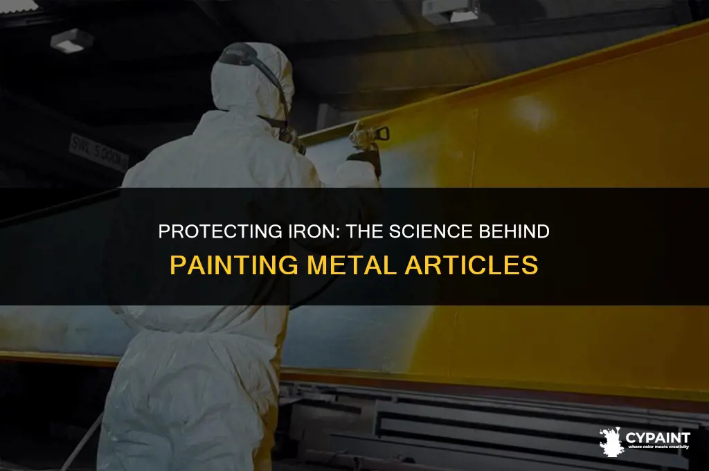 why do we apply paint on iron articles class 10