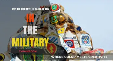 Understanding the Purpose of Painting Rocks in Military Training