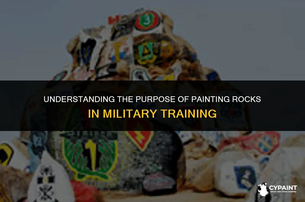 why do you have to paint rocks in the military