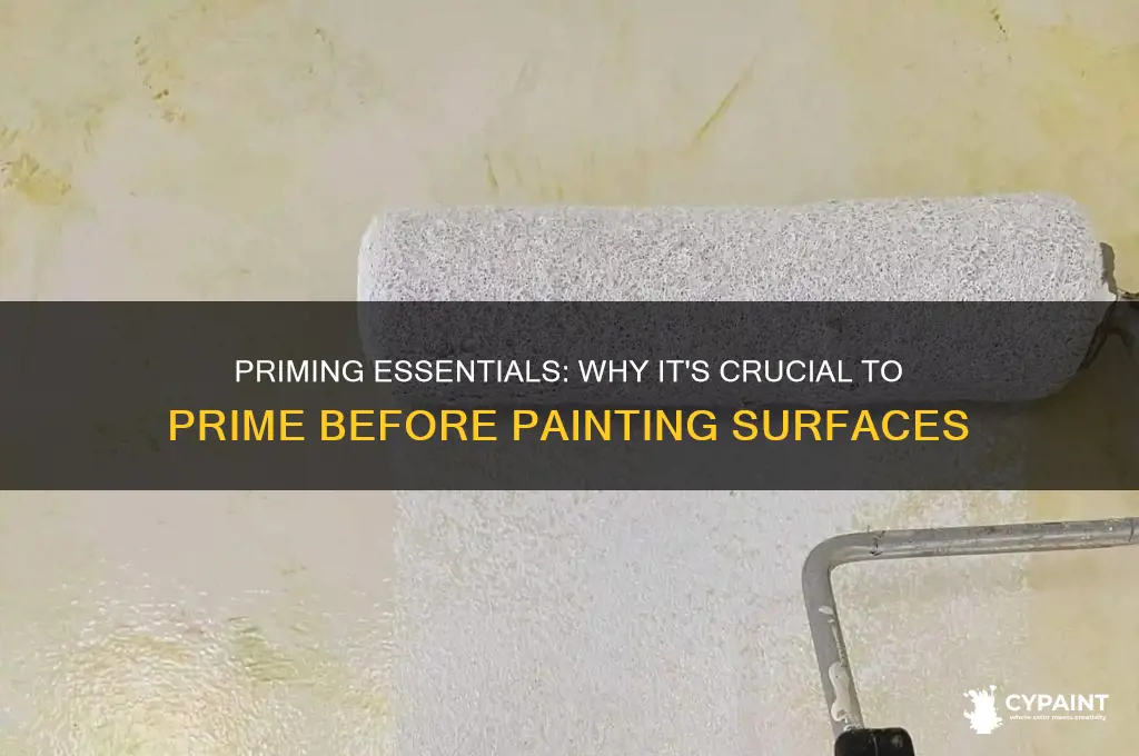 why do you have to prime before you paint