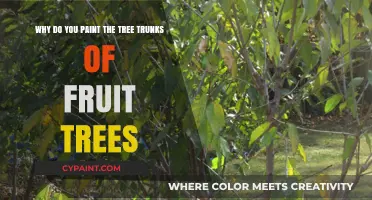 Nature's Canvas: The Art and Science of Painting Fruit Tree Trunks