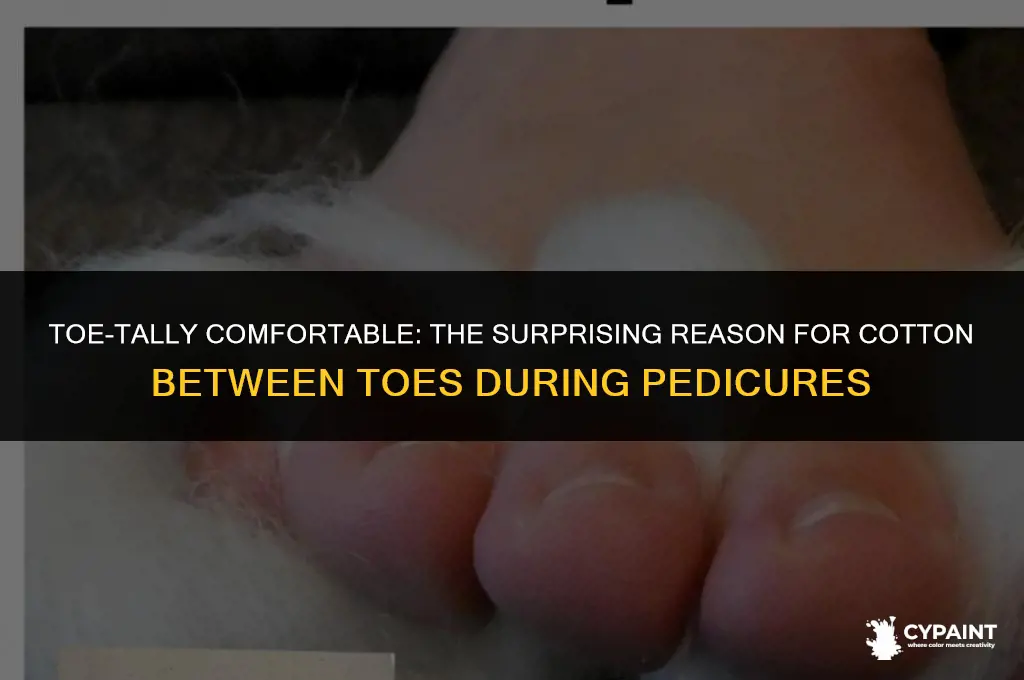 why do you put cotton between your toes when painting