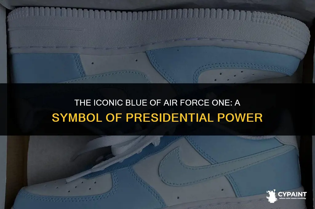 why does air force 1 have to be painted blue