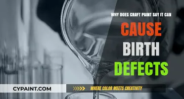 Unveiling the Truth: Craft Paint and Birth Defect Warnings