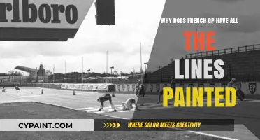 Why French GP Tracks Feature Unique Painted Lines Explained