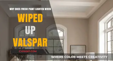 Why Fresh Valspar Paint Lightens When Wiped: Explained