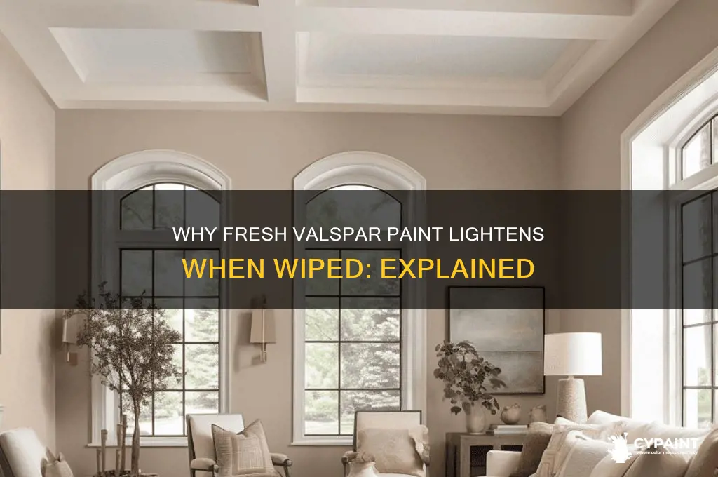 why does fresh paint lighten when wiped up valspar