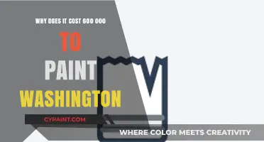 The Shocking $600,000 Price Tag to Paint Washington Explained