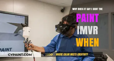 Unraveling the Mystery: Why Your Paint Job Didn't Show Up in VR