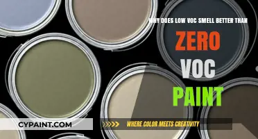 Unveiling the Secret: Why Low VOC Paints Outshine Zero VOC Alternatives