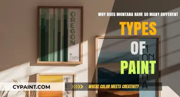 Montana's Artistic Palette: Exploring the Diversity of Paint Types