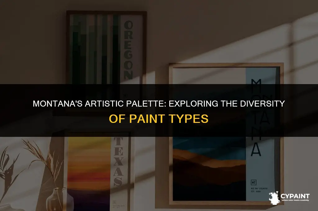 why does montana have so many different types of paint